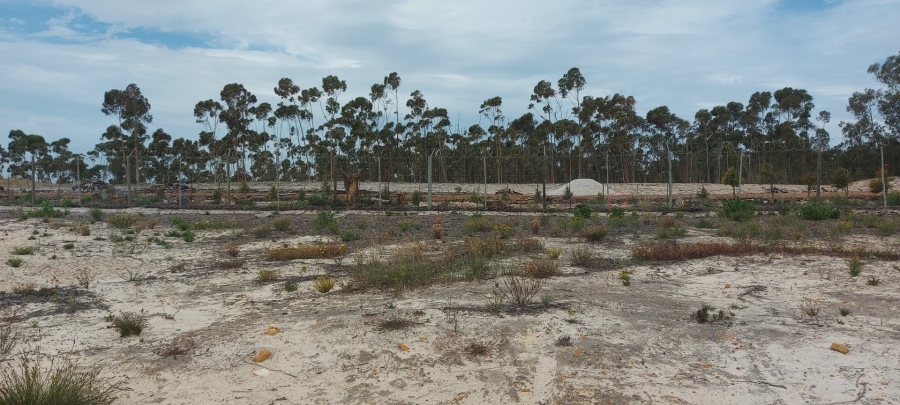 Commercial Property for Sale in Albertinia Western Cape